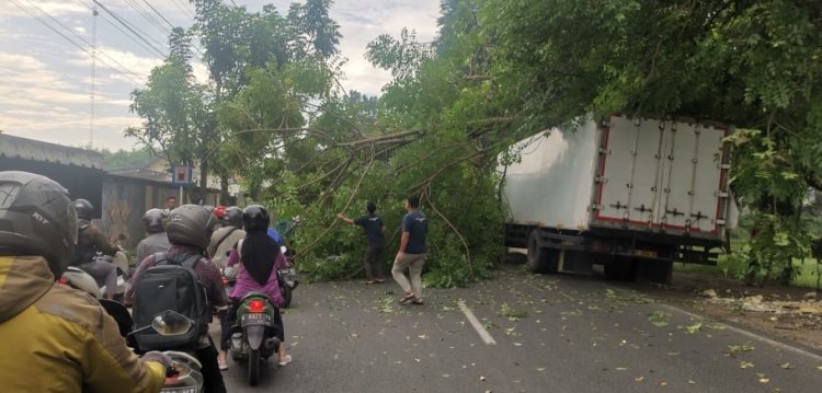 Pohon Tumbang Menimpa Truck Box