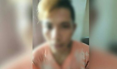 Curi Tanaman Jagung di Kecamatan Matuari, FP Diamankan Polisi