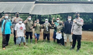 Cegah Penyebaran PMK, Polres Pesawaran & Pemkab Pesawaran Lakukan Vaksinasi