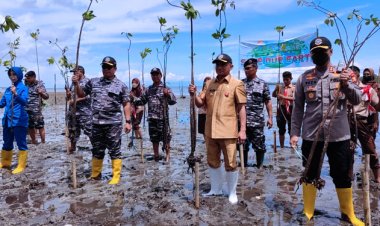 hari mangrove lanal tanam 6 ribu mangrove