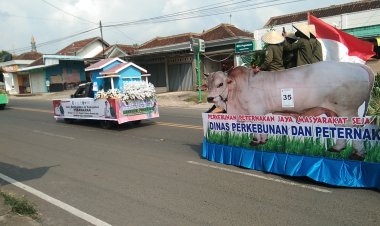Kendaraan Hias Warnai Rangkaian Hut Kabupaten Pesawaran Ke 15..