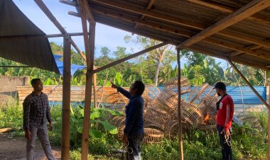Sering Dijadikan Arena Sabung Ayam, Satreskrim Polres Pesawaran Lakukan Penggrebekan