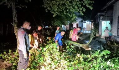 HUJAN LEBAT AKIBATKAN POHON TUMBANG DAN MENIMPA RUMAH WARGA