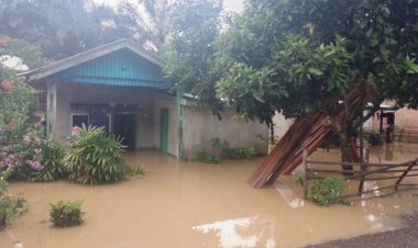 Banjir Di Seluma Bengkulu Rendam 481 Rumah 1 Jalan Amblas