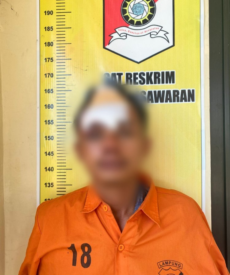 Team Anti Bandit Tekab 308 Polres Pesawaran Polda Lampung Amankan Pelaku Tindak Pidana Penganiayaan