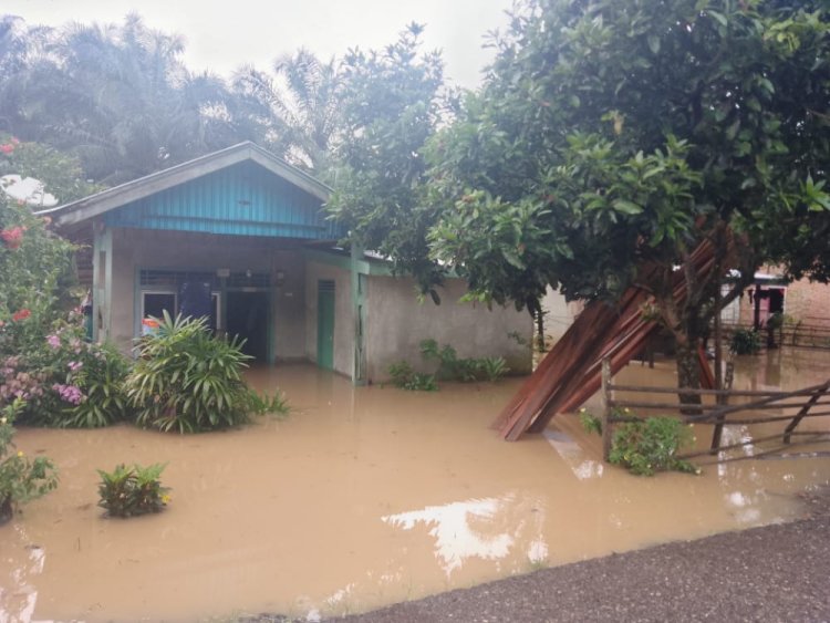 Banjir Di Seluma Bengkulu Rendam 481 Rumah 1 Jalan Amblas