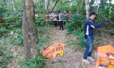 Siswi SMP Terkapar Di Kebun Karet