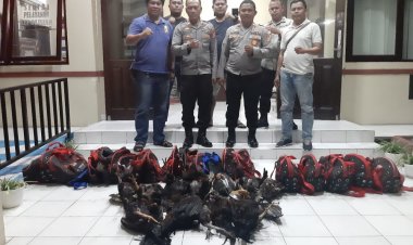 Komitmen Berantas Judi, Polsek Aertembaga Gerebek Sabung Ayam
