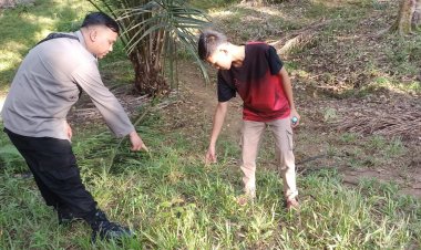 Dituduh Mencuri Hp, Bocah 15 Tahun Diikat di Pohon Lalu Dibakar dengan BBM Jenis Pertalite
