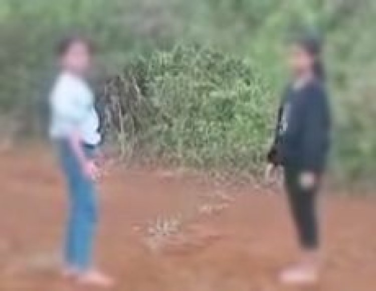 Viral ! Duel Siswi SMP Di Sukabumi Di Tonton Temannya