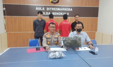 Miliki 1 Kg Ganja, Dua Pedagang Ayam Di Bengkulu Diringkus Polisi