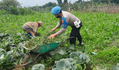 Ungkapan Seorang Kakek Lansia Saat Dibantu Oleh Anggota Polsek Sukalarang