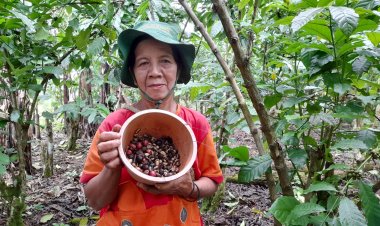 Kopi Semang Sensasi Bahagia Saat Di Seruput