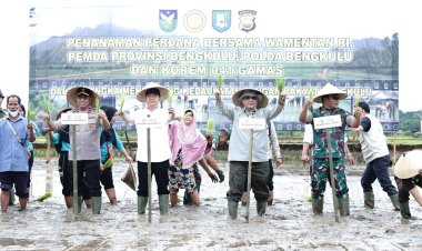 Hadapi Isu Krisis dan Resesi Wamentan  Tanam Padi Serentak di Provinsi Bengkulu