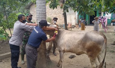 Bripka Nur Meiyanto mendampingi Penanganan Penyakit Mulut dan Kuku