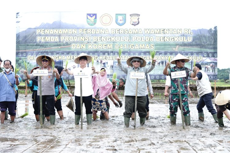 Hadapi Isu Krisis dan Resesi Wamentan  Tanam Padi Serentak di Provinsi Bengkulu