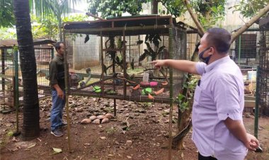 Polda Lampung Tuntaskan 3 Perkara Satwa Dilindungi