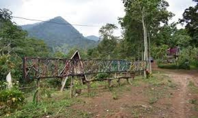 JELAJAHI YUK! Pesona Eksotis Alam Gunung Betung, Desa Wiyono, Pesawaran, Lampung