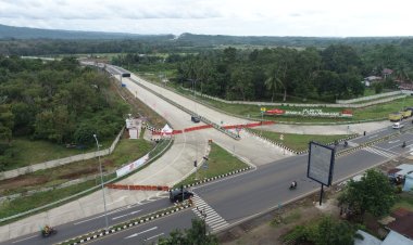 Besok Tol Bengkulu Berbayar, Angkutan Ternak Sapi Dilarang Melintas