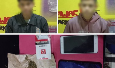 Bawa Ganja 4,75 Gram, Dua Pemuda Asal Tanggamus Ditangkap Sat Resnarkoba Polres Pesawaran Polda Lampung