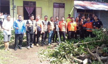 Pohon Tumbang, Forkgap dan Pemkot Bitung Lakukan Kolaborasi Kerja