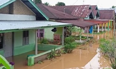 Banjir dan Longsor Landa 4 Kabupaten di Bengkulu, 905 Rumah Terendam
