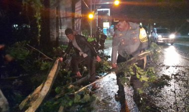 Respon Cepat Kapolsek Sukalarang beserta Anggota Evakuasi Pohon Tumbang