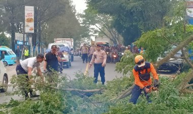 Antisipasi Pohon Tumbang, Kapolsek Sukalarang Melakukan Pemangkasan Pohon