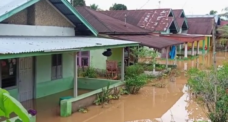 Banjir dan Longsor Landa 4 Kabupaten di Bengkulu, 905 Rumah Terendam