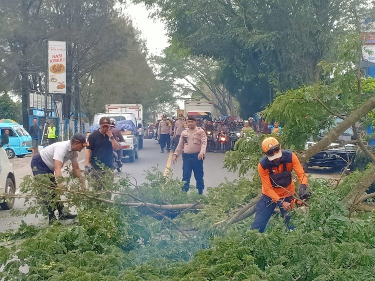 Antisipasi Pohon Tumbang, Kapolsek Sukalarang Melakukan Pemangkasan Pohon