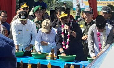 Panen Raya, Mentan SYL Apresiasi Keberhasilan Petani Meningkatan Produksi