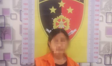 Tekab 308 Presisi Polres Lampung Selatan Tangkap IRT Pelaku Penipuan dan Pengelapan Uang di Kampung Jojog