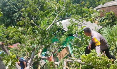 Bhabinkamtibmas Polsek TBU Polresta Bandar Lampung Bantu Warga Yang Rumah Tertimpa Pohon Tumbang
