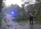 Sinergi Bersama, TNI/Polri dan Warga Bersihkan Pohon Tumbang Menghalangi Jalan