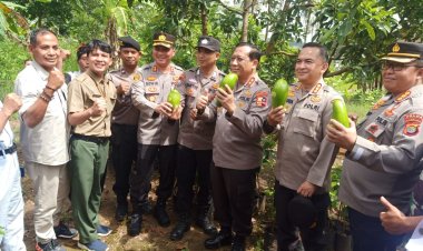 Kakorbimas Baharkam Polri Irjen Pol Hary Sudwijanto Kunjungi  Budi Daya Pembibitan Tanaman Alpukat di Jati Agung