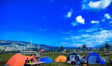 Desa Di Lebong Bengkulu Tawarkan Paket Wisata Panen Padi