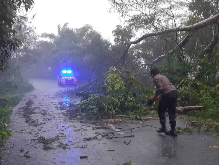 Sinergi Bersama, TNI/Polri dan Warga Bersihkan Pohon Tumbang Menghalangi Jalan