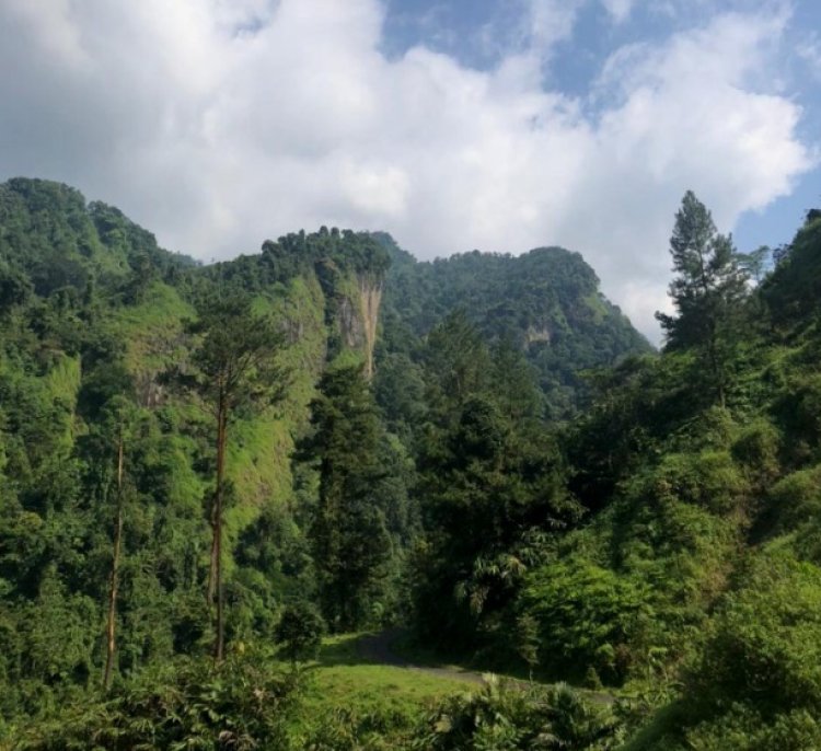 Menyelami Keindahan Alam yang Menakjubkan di Kawasan Hutan Konservasi Siregol Superland di Purbalingga