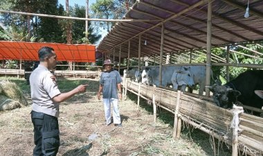 Jelang ldul Adha, Personel Polsek Cireunghas Polres Sukabumi Kota Laksanakan Patroli Di Peternakan Warga