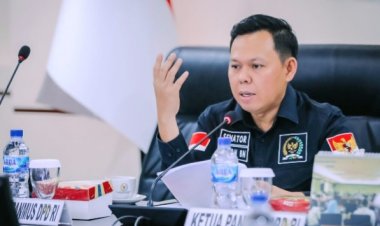 3,3 Juta Ha Lahan Sawit Diputihkan, Sultan: Perburuk Citra Komoditas Sawit Indonesia