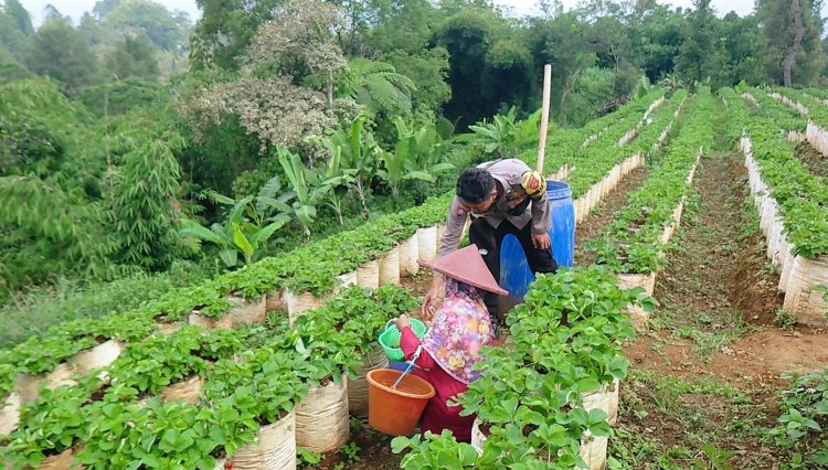 Bhabinkamtibmas Polsek Sambangi Petani