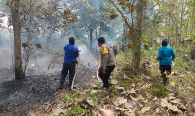 Kebakaran Lahan di Dusun Salahudin, Desa Negeri Sakti, Gedong Tataan, Pesawaran