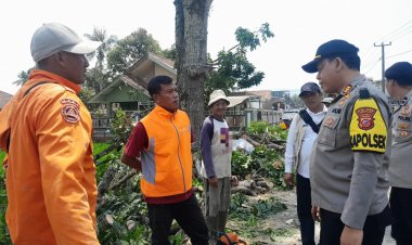 Pemdes Semplak Sigap Atasi Pohon Tumbang Yang Menutup Akses Jalan
