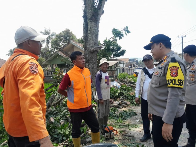 Pemdes Semplak Sigap Atasi Pohon Tumbang Yang Menutup Akses Jalan