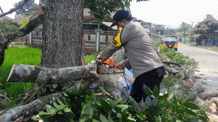 Sigap Dan Tanggap Kapolsek Sukalarang Bantu Warga Evakuasi Pohon Tumbang