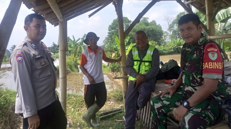 Bhabinkamtibmas Bersama Babinsa Kecamatan Sukabumi Sambangi Petani