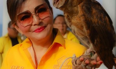 Karisma Ketua Golkar Sulut, Mampu Tarik Puluhan Ribuan Pemilih