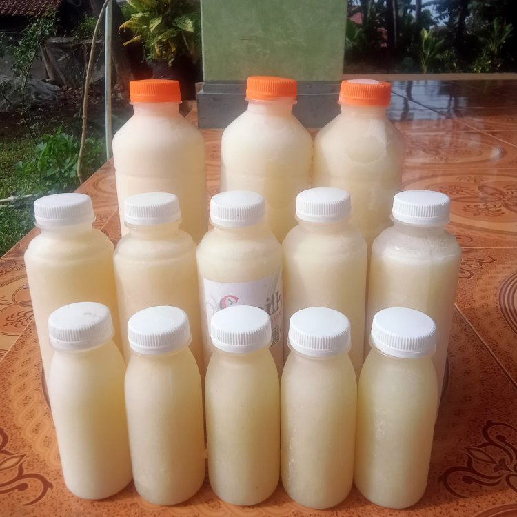 Mengenal produk UMKM Susu Kambing Etawa Dari Desa Sukamekar