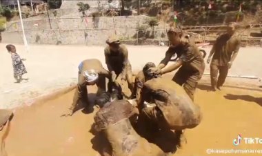 Masyarakat Adat Kasepuhan Sirnaresmi, Gelar Tradisi Ngarempug