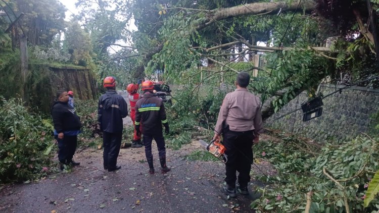 Polsek Sukabumi Evakuasi Pohon Tumbang Di Jalan Selabintana